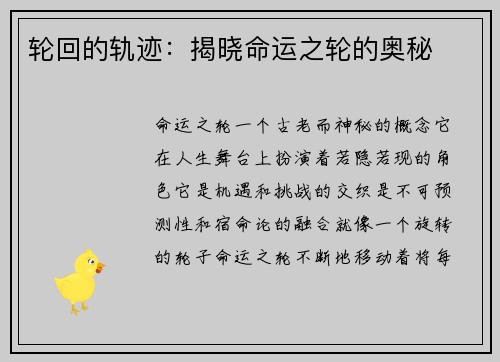 轮回的轨迹：揭晓命运之轮的奥秘